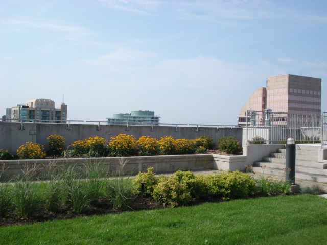 Looking south over west island